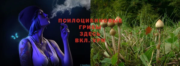 винт Беломорск