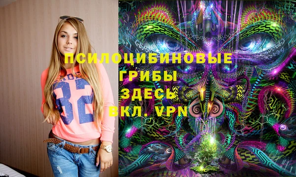 гашик Белокуриха