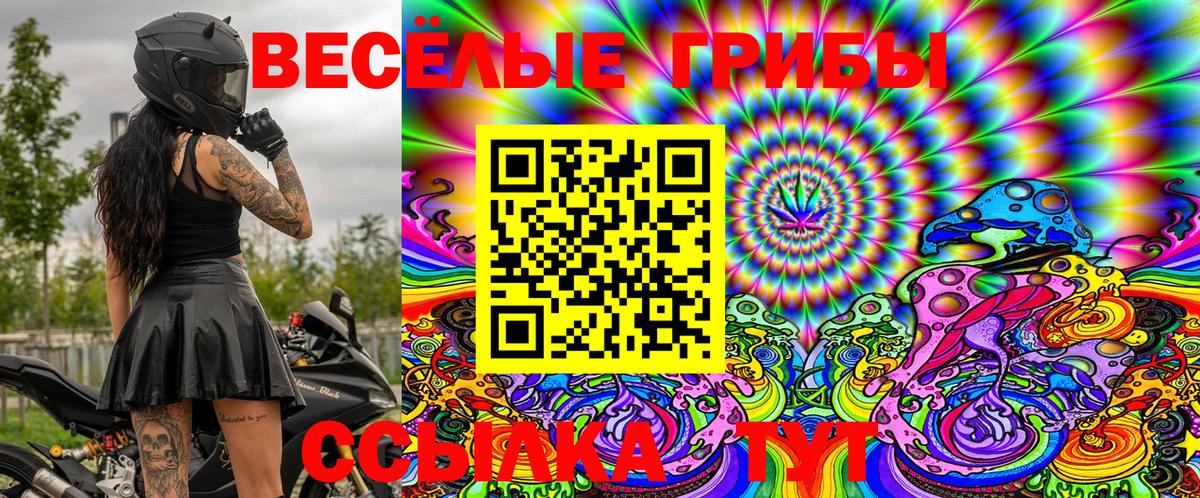 Псилоцибиновые грибы GOLDEN TEACHER Гулькевичи