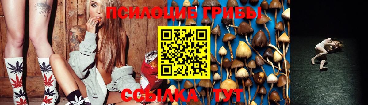 Псилоцибиновые грибы MAGIC MUSHROOMS  Псилоцибиновые грибы ЛСД  Гулькевичи  Вход с VPN 